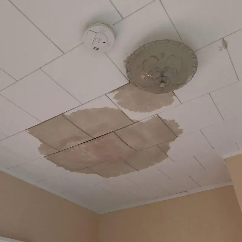Ceiling Water Damage Repair in Manitou Springs, CO